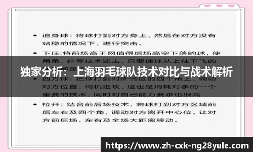 独家分析：上海羽毛球队技术对比与战术解析